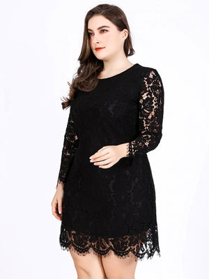 Womens Round Neck Lace Long Sleeve Plus Size Dress SIZE XL-5XL