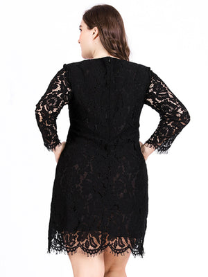 Womens Round Neck Lace Long Sleeve Plus Size Dress SIZE XL-5XL