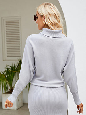 Womens Turtleneck Long Sleeve Slim Fit Sweater Dress S-XL