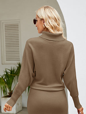 Womens Turtleneck Long Sleeve Slim Fit Sweater Dress S-XL