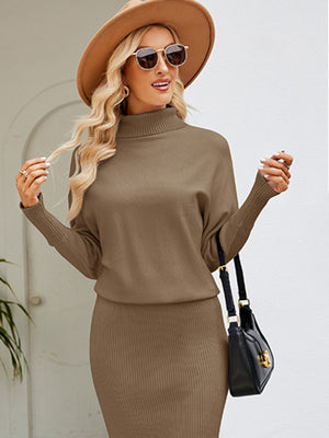 Womens Turtleneck Long Sleeve Slim Fit Sweater Dress S-XL