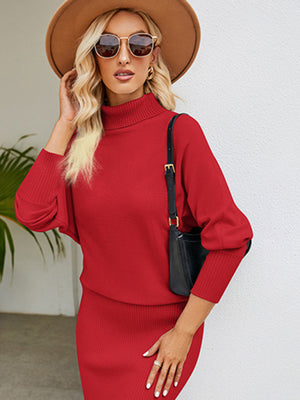 Womens Turtleneck Long Sleeve Slim Fit Sweater Dress S-XL